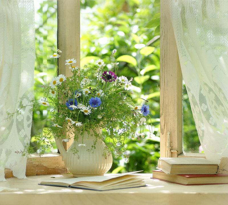 Растения для балкона, которые выживут на солнцепеке